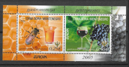 2005 MNH Montenegro Block Postfris** - 2005