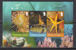 2013 Ascension Marine Life JOINT ISSUE Falkland South Georgia  Souvenir Sheet MNH - Ascension