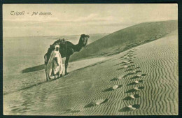 BD030 - TRIPOLI - NEL DESERTO - LIBIA COLONIALE TRIPOLITANIA - Libye