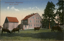 41078104 Sonnenberg Harz Wegehaus Sonnenberg Harz - St. Andreasberg