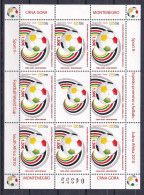 MONTENEGRO 2010,MI. NO 238,WORLD CUP,SHEET,,MNH, - 2010 – Sud Africa