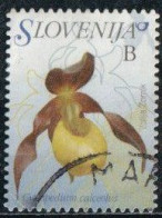 Slovénie 2013 Yv. N°652 - Orchidée Sabot De Vénus - Oblitéré - Slovénie