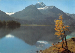 SUISSE -LAC DE SILS . SIHL - Lake Sihl