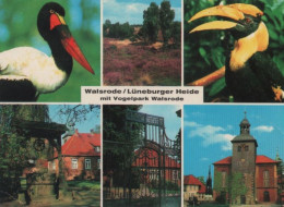 102610 - Walsrode - Vogelpark - Ca. 1985 - Walsrode