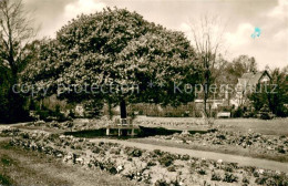 73777664 Guetersloh Botanischer Garten Guetersloh - Gütersloh