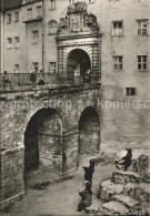 72377126 Torgau Baerenfreigehege Schloss Hartenfels Torgau - Torgau