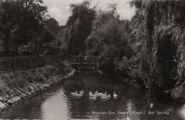 54113 - Ense-Bremen - Am Spring - 1963 - Soest