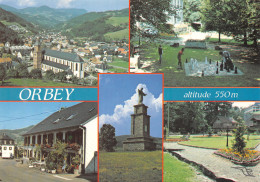 68-ORBEY-N°4272-B/0053 - Orbey