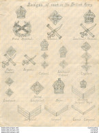 Pièce Unique :  Feuille Avec Dessins Au Crayon  " Badges Of Rank In The Bristih Army " ( Insignes De Grades Britanniques - Documenti