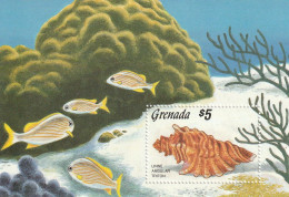 GRENADE -  BLOC N°152 ** (1986) Faune Marine : Coquillage - Grenade (1974-...)