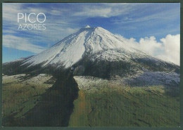 Acores Azores Islands Inseln Ilhas Pico - Açores