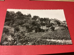 AVESNES SUR HELPE. Vue Sur Les Remparts   CARTE RARE - Avesnes Sur Helpe