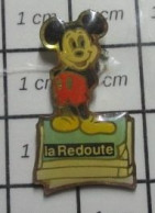 616C Pin's Pins / Beau Et Rare / THEME : DISNEY / MICKEY CATALOGUE DE LA REDOUTE - Disney