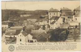 WALCOURT : Vue Du Quartier "Sur Le Château" Et Du Bois De Spagnmont - 1911 - Walcourt