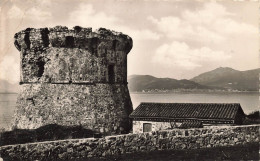 FRANCE - Corse - Ajaccio - Vue Sur La Tour De Capitela - Carte Postale Ancienne - Corse