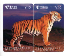 Tigre Leo Félin Animal  PUZZLE CHINE  - 2 Télécartes Phonecard ( K04) - Cina