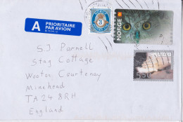 Norvège Norway Norge Lettre Timbre Hibou Chouette Owl Stamp Air Mail Cover - Cartas & Documentos