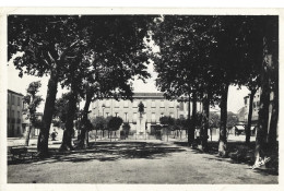 66 Rivesaltes -  La Promenade Et Statue Du Marechal Joffre - Rivesaltes