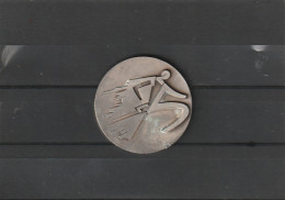 ***  SPORT ***    Athlétisme -- Médaille Des 25 Km De Paris 1987 - à Nettoyer 5cm - Athletics