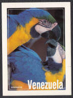 Venezuela Guacamayas - Venezuela