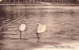 FRANCE - Sceaux - Les Cygnes Dans Le Bassin De L'Octogone Du Parc - Carte Postale Ancienne - Sceaux