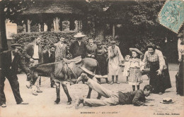 ANIMAUX & FAUNE - Anes - Robinson - "Ah C'te Pelle ! " - P Javelle Phot - Robinson - Carte Postale Ancienne - Esel