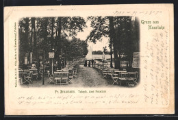 AK Berlin-Zehlendorf, Gartenpartie Gasthaus Moorlake, Bes.: Fr. Braumann  - Wannsee