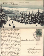 Ansichtskarte Braunlage Blick Von Der Rodelbahn Im Winter 1914 - Braunlage
