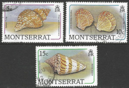 Montserrat. 1988 Sea Shells. 3 Used Values To 15c (5c, 10c, 15c). SG 757etc. M3077 - Montserrat