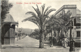Cordoba - Paseo Del Gran Capitan - Córdoba