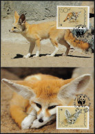 Yémen République Populaire 1989 Y&T 345 Et 346 Sur Cartes Maximum. WWF, Fennec - Honden