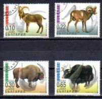 Bulgarie 2000 Animaux Sauvages (61) Yvert N° 3881 à 3884 Oblitérés Used - Oblitérés