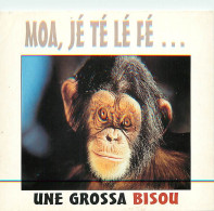 Animaux - Singes - Chimpanzé - Carte à Message - Carte Neuve - CPM - Voir Scans Recto-Verso - Singes