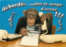 Animaux - Singes - Chimpanzé - Carte à Message - Téléphone - Carte Neuve - CPM - Voir Scans Recto-Verso - Singes