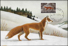 Yougoslavie 1960 Y&T 822. Carte Maximum. Renard - Honden