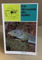 A La Découverte Des Reptiles - Nature