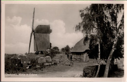 ! Foto Ansichtskarte, Greifswald, Mühle In Eldena, Windmühle, Moulin A Vent, Windmill - Windmolens