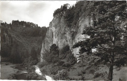 Partie Beim Roten Fels Im Pegnitztal - Pegnitz