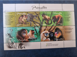 CUBA  NEUF   2020   HE  PRIMATES- DENTELE  COMPLET  //  PARFAIT  ETAT  //  1er  CHOIX  // - Nuevos