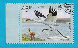 Russland / Russia 2019 , EUROPA CEPT Birds - Gestempelt / Fine Used / (o) - 2019