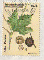 2023.ANDORRA. Feuille De Platane. Timbre Oblitéré, 1 ère Qualité. Haute Faciale - Used Stamps