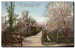 CPA Colorado Entrance To An Orchard Near Grand Junction - Otros & Sin Clasificación