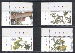 Swaziland 1996- Plants And Fruits Set(4v) - Swaziland (1968-...)