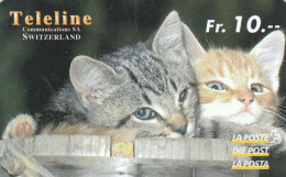 Swiss, Teleline, Cats - Suisse