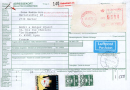 Danimarca (1991) - Bollettino Pacchi Per La Francia - Cartas & Documentos