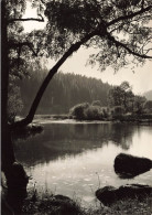 FRANCE - Haut Doubs - Vue Sur Le Doubs - Carte Postale - Autres & Non Classés