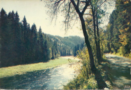 *CPM - Effet De Lumière En Montagne - Controluce