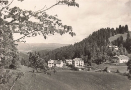 FRANCE - Les Rousses - Vue Sur Le Bief De La Chaille , Auberge De Jeunesse - Carte Postale Ancienne - Autres & Non Classés