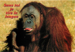 Animaux - Singes - Orang-Outan - Carte à Message - Carte Neuve - CPM - Voir Scans Recto-Verso - Singes