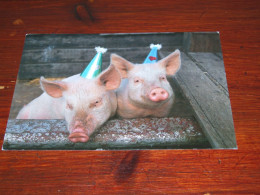 72505-                 MAX AND MAURITS PIGS PARTY / ANIMALS / TIERE / ANIMAUX / ANIMALES - Varkens